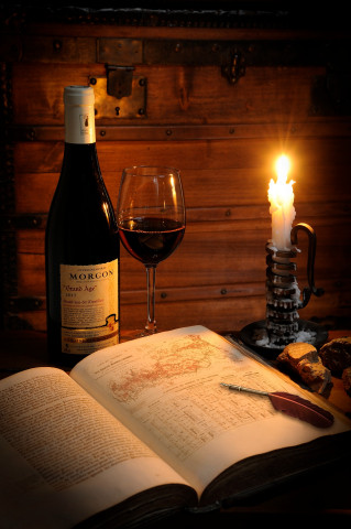 Viticole à Belleville-en-Beaujolais - Laurent Chaintreuil Photographe