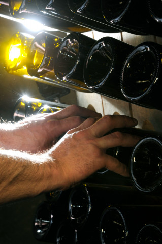 Viticole à Belleville-en-Beaujolais - Laurent Chaintreuil Photographe