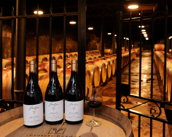 Viticole à Belleville-en-Beaujolais - Laurent Chaintreuil Photographe