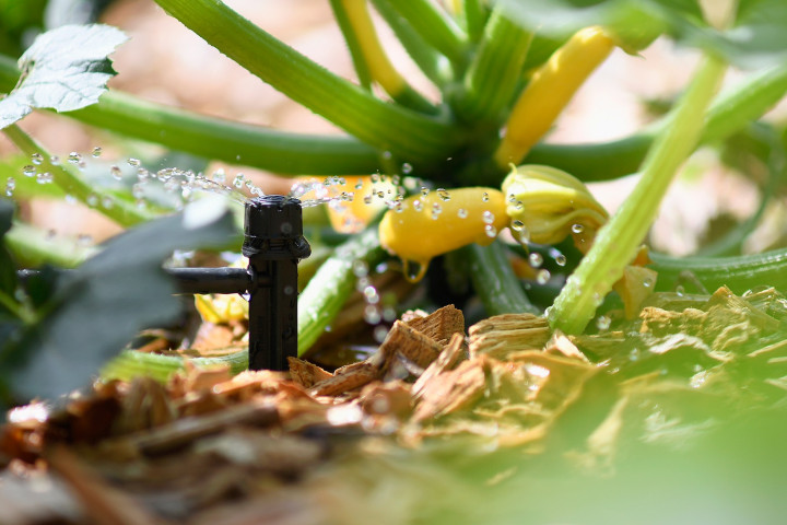Entreprise à Belleville-en-Beaujolais - Laurent Chaintreuil Photographe