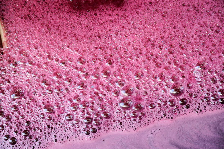 Viticole à Belleville-en-Beaujolais - Laurent Chaintreuil Photographe