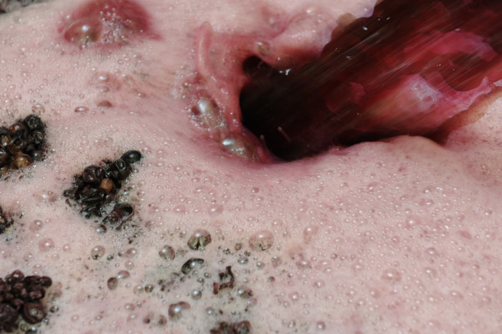 Viticole à Belleville-en-Beaujolais - Laurent Chaintreuil Photographe