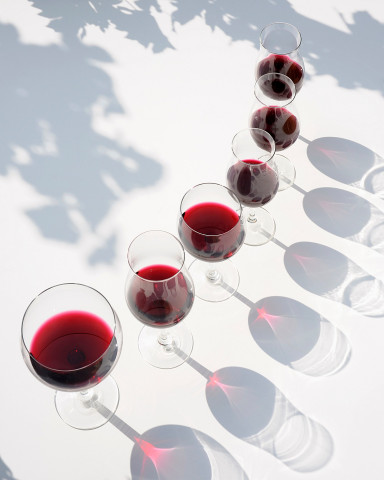 Viticole à Belleville-en-Beaujolais - Laurent Chaintreuil Photographe