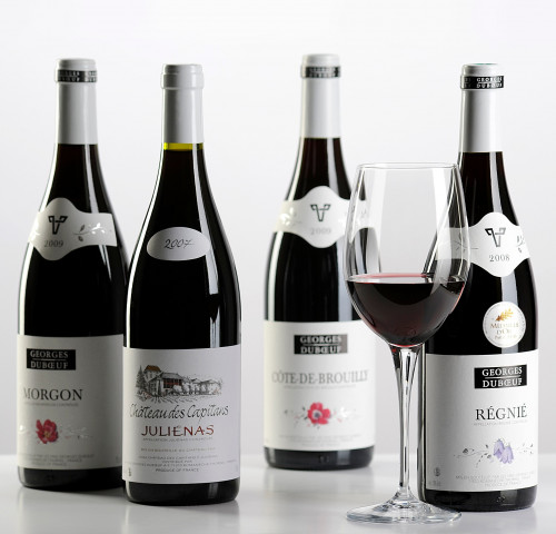 Viticole à Belleville-en-Beaujolais - Laurent Chaintreuil Photographe