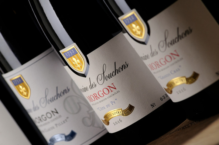 Viticole à Belleville-en-Beaujolais - Laurent Chaintreuil Photographe