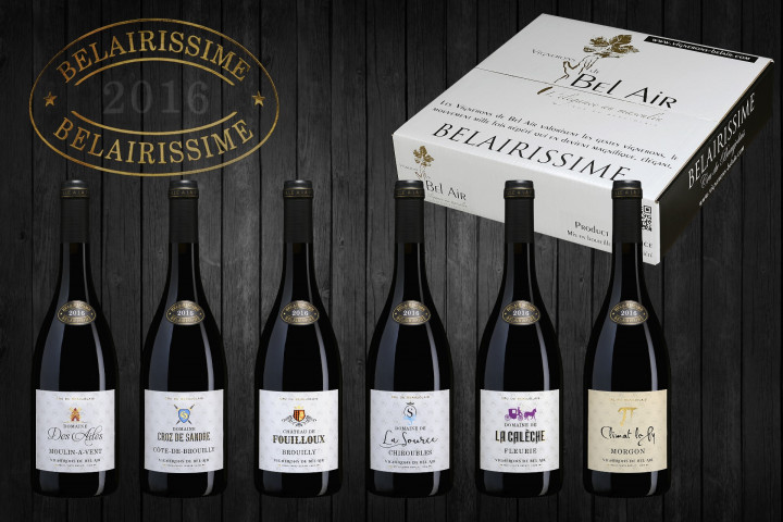 Viticole à Belleville-en-Beaujolais - Laurent Chaintreuil Photographe