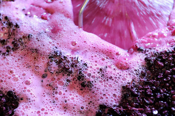 Viticole à Belleville-en-Beaujolais - Laurent Chaintreuil Photographe