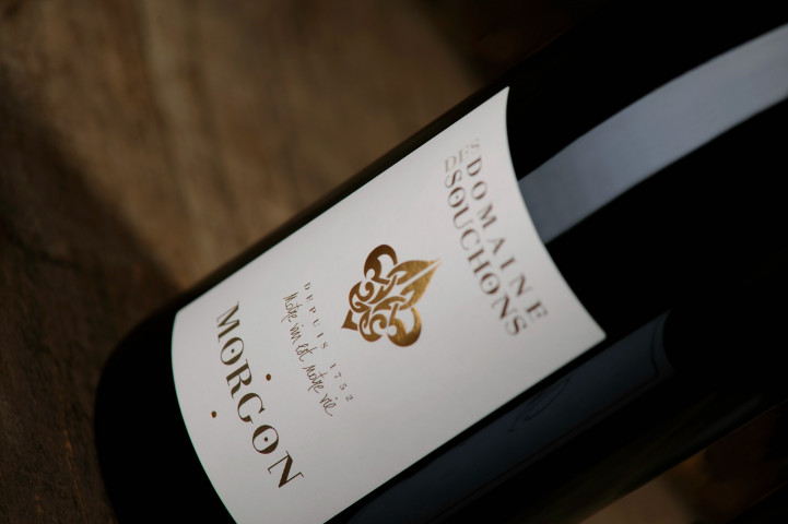 Viticole à Belleville-en-Beaujolais - Laurent Chaintreuil Photographe